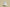 Yeezy Boost 350 V2 White Zebra Neutral Casual Sports Shoes