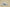 Yeezy Boost 350 V2 White Zebra Neutral Casual Sports Shoes