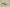 Yeezy Boost 350 V2 Zebra 2018