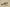 Yeezy Boost 380 Coconut Edition Earthy Rock Gray and Sand Brown