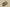 Yeezy Boost 380 Coconut Edition Earthy Rock Gray and Sand Brown