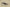 Yeezy Boost 380 Coconut Edition Earthy Rock Gray and Sand Brown