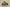 Yeezy Boost 380 Coconut Edition Earthy Rock Gray and Sand Brown