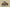 Yeezy Boost 380 Rock Gray Sand Brown