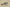 Yeezy Boost 380 Rock Gray Sand Brown