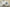 Yeezy Boost 700 "Analog" Coconut Gray and White
