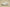 Yeezy Boost 700 "Analog" Coconut Gray and White