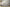 Yeezy Boost 700 "Analog" Coconut Gray and White