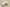 Yeezy Boost 700 "Analog" Coconut Gray and White