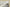 Yeezy Boost 700 "Analog" Coconut Gray and White