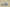 Yeezy Boost 700 GT Version Coconut 700 Glass Grey Colorway