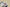 Yeezy Boost 700 GT Version Coconut 700 Gray Black Blue Colorway