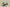 Yeezy Boost 700 GT Version Coconut 700 Gray Black Blue Colorway
