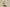 Yeezy Boost 700 GT Version Coconut 700 Gray Black Blue Colorway