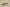 Yeezy Boost 700 GT Version Coconut 700 Gray Black Blue Colorway