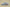 Yeezy Boost 700 Inertia Coconut 700 Blue Gray Inertia Colorway
