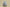Yeezy Boost 700 Inertia Coconut 700 Blue Gray Inertia Colorway