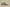 Yeezy Boost 700 Inertia Coconut 700 Blue Gray Inertia Colorway