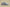 Yeezy Boost 700 "Inertia" Coconut Inertia Blue Gray
