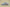 Yeezy Boost 700 "Inertia" Coconut Inertia Blue Gray