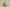 Yeezy Boost 700 "Inertia" Coconut Inertia Blue Gray