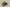 Yeezy Boost 700 "Magnet" Coconut Magnet