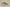 Yeezy Boost 700 "Magnet" Coconut Magnet