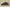 Yeezy Boost 700 Mauve Black Brown