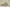 Yeezy Boost 700 V2 GT Version Coconut 700 Premium Edition