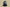 Yeezy Boost 700 V3 GZ Version Coconut 700 All Black Edition