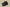 Yeezy Boost Coconut 350 Black Rubber Edition