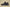 Yeezy Boost Coconut 350 Black Rubber Edition