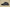 Yeezy Boost Coconut 350 Black Starry Sky Edition