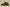Yeezy Boost Coconut 350 Black Starry Sky Edition