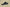 Yeezy Boost Coconut 350 FZ5000 Stylish and Comfortable Edition