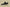Yeezy Boost Coconut 350 FZ5000 Stylish and Comfortable Edition