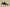Yeezy Boost Coconut 350 FZ5000 Stylish and Comfortable Edition