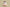 Yeezy Boost Coconut 350 Gray Powder Edition