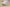 Yeezy Boost Coconut 350 Gray Powder Edition