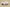 Yeezy Boost Coconut 350 Gray Powder Edition