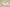 Yeezy Boost Coconut 350 Sleek and Comfortable Streetwear Sneaker