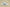 Yeezy Boost Coconut 350 Sleek and Comfortable Streetwear Sneaker