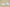 Yeezy Boost Coconut 350 Sleek and Comfortable Streetwear Sneaker
