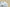 Yeezy Boost Coconut 350 White Starry Sky Edition