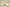 Yeezy Boost Coconut 350 White Starry Sky Edition