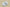 Yeezy Boost Coconut 350 White Starry Sky Edition