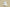 Yeezy Boost Coconut 350 White Starry Sky Edition