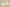 Yeezy Boost Coconut 350 White Starry Sky Edition