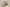 Yeezy Boost Coconut 700 Glass Grey