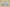 Yeezy Boost Coconut 700 Glass Grey